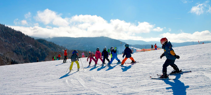 salida-escolar-niños-de-primaria-nieve