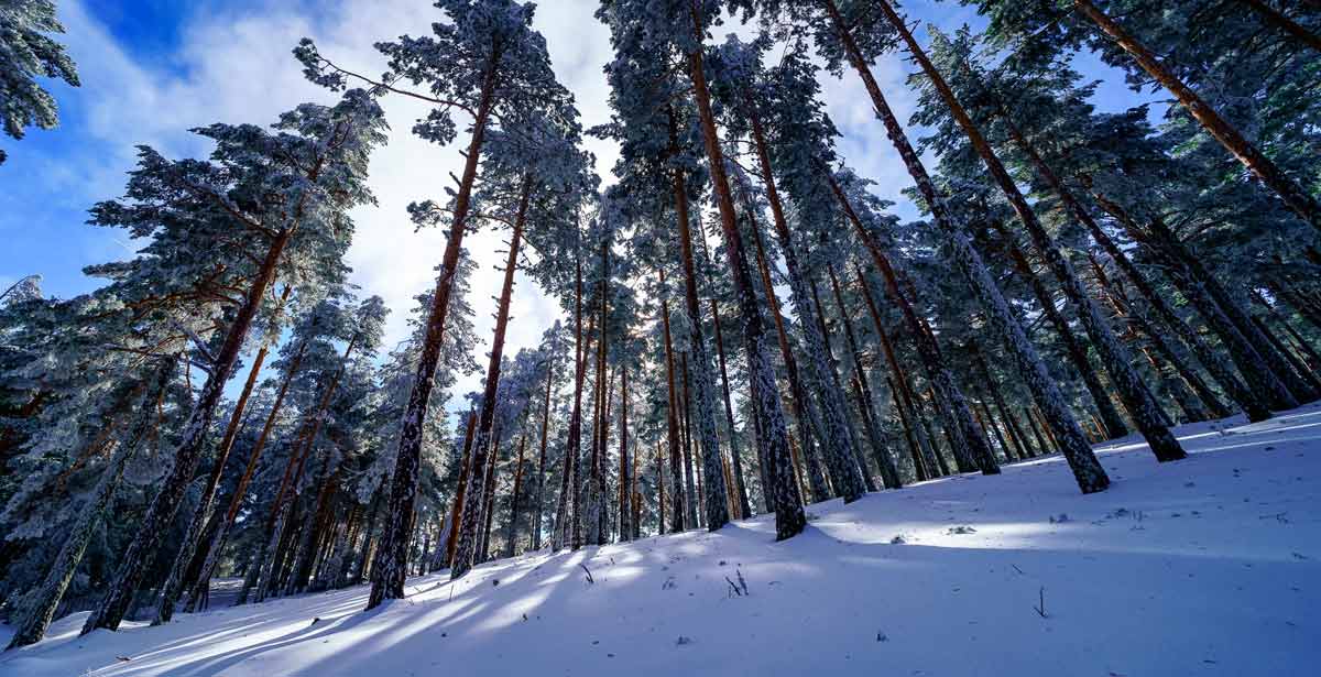 Donde ir a la nieve, Navafría, Esquí Nórdico