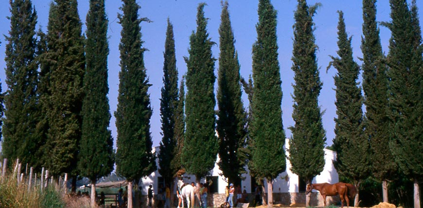 paisaje granja escuela buenavista